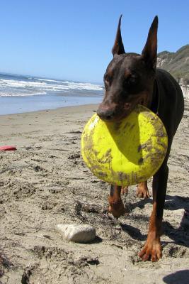 Read Online My Frisbee - Doberman Pinscher at the Beach, for the Love of Dogs: Blank 150 Page Lined Journal for Your Thoughts, Ideas, and Inspiration -  file in ePub