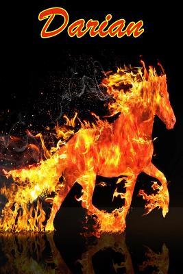 Read Online Horse Passion: Darian: College Ruled Composition Book Diary Lined Journal - Meadow Runs file in PDF
