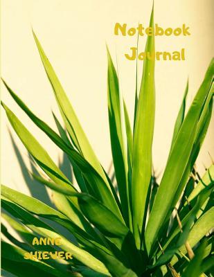 Download Tropical Beach Adventure Journal: Tropical Beach Theme Blank Lined, Dot Matrix, Sketch Page Combination Composition Book for Adventure or Vacation Lovers -  | ePub