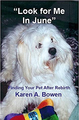 Read Online Look for Me in June: Finding Your Pet After Rebirth - Karen A. Bowen | PDF